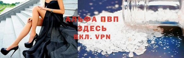 spice Богородицк
