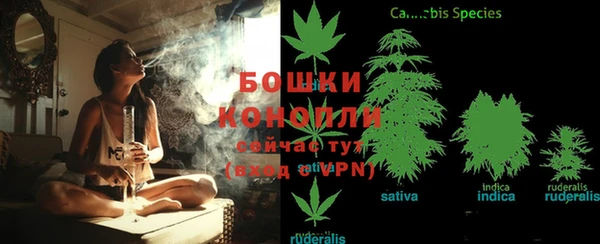 spice Богородицк