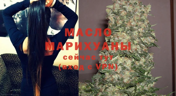 spice Богородицк
