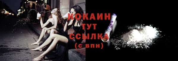 spice Богородицк