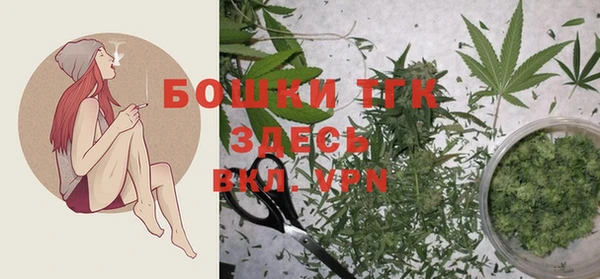 spice Богородицк