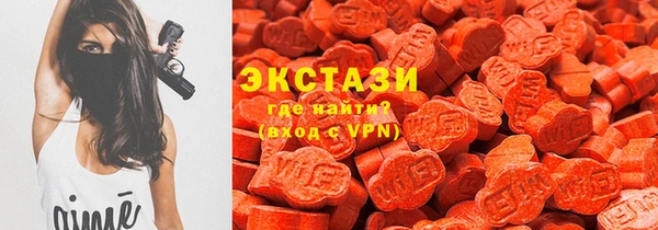 spice Богородицк