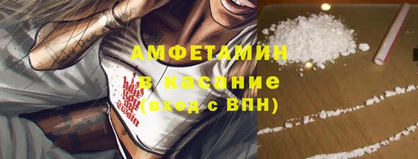 spice Богородицк