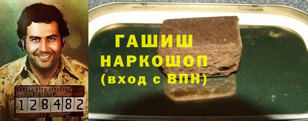 spice Богородицк