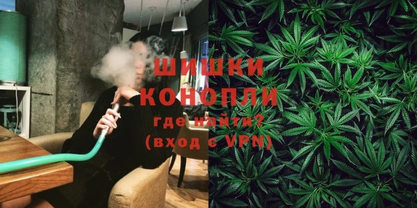spice Богородицк