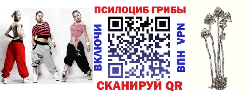 Галлюциногенные грибы Psilocybe  купить закладку  Буинск 